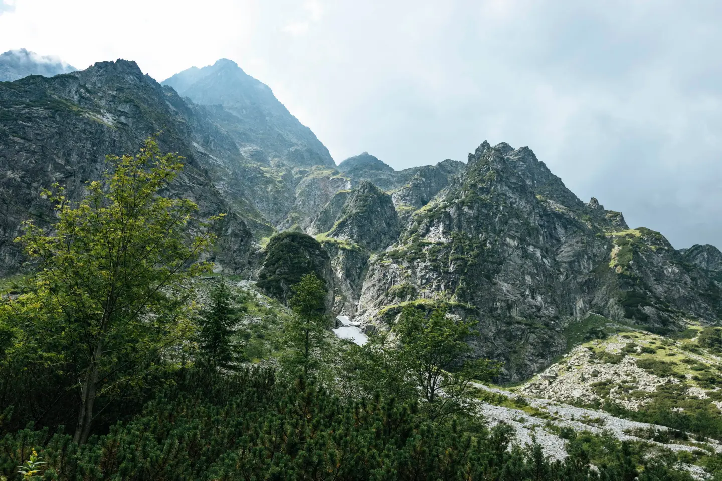 nature