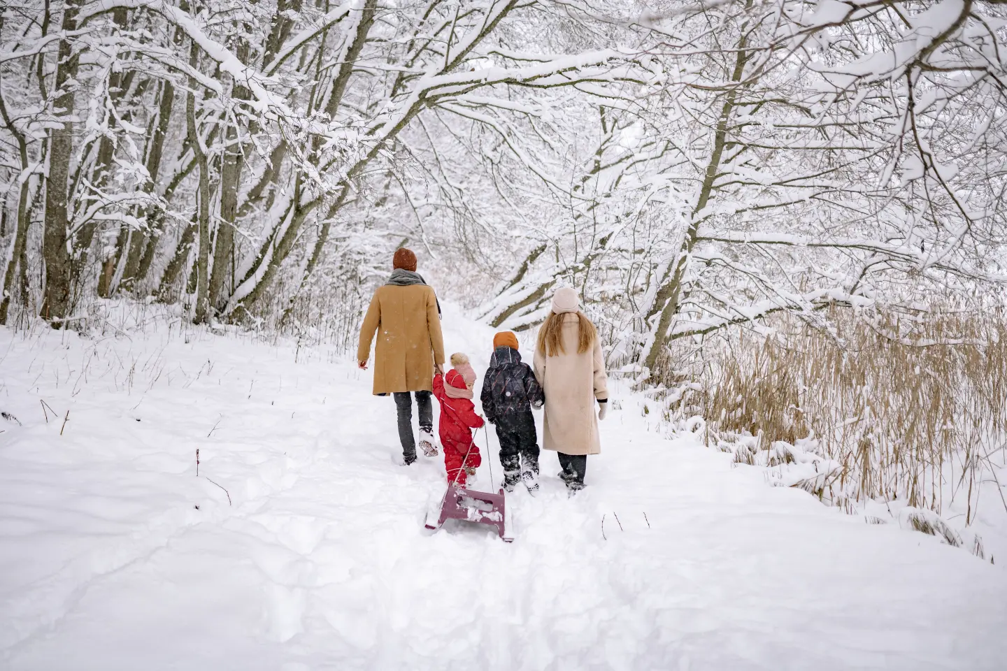 famille dans la neige avec une luge