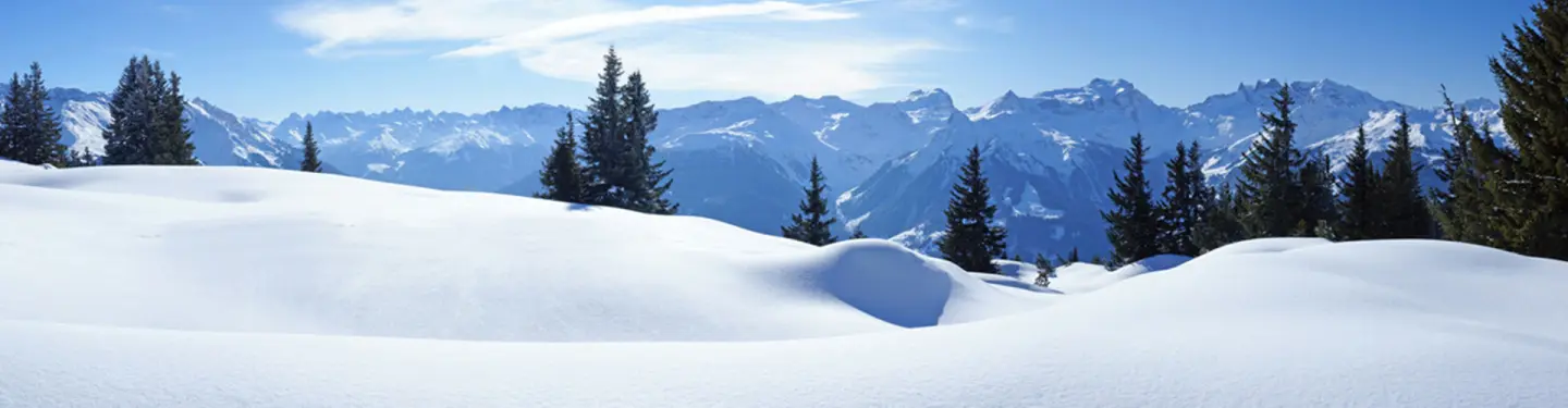 CIS Immobilier Vacances
