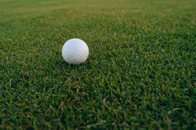 balle de golf posée sur le green
